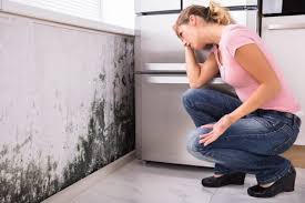 Best Mold Removal for HVAC Installations  in Lilburn, GA